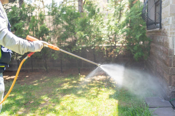 Best Pest Control Treatment  in USA